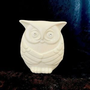 Ceramic Owl with a diamond eyes